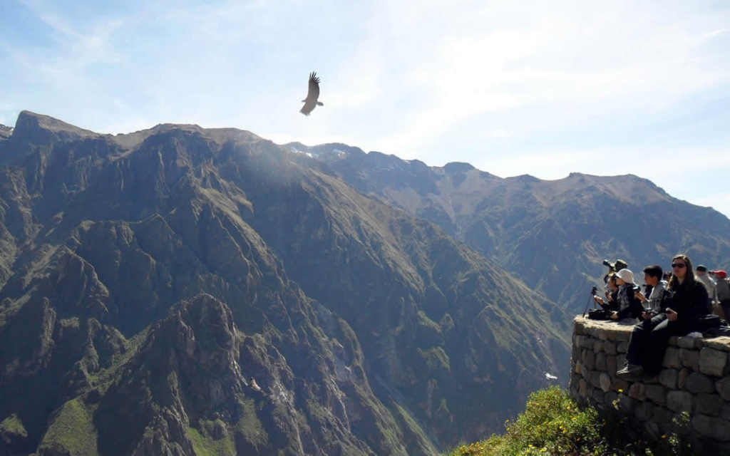 Cañón del Colca Full Day