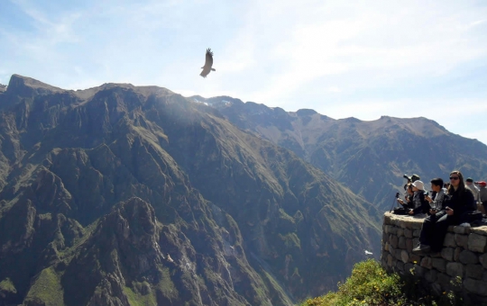 Cañón del Colca Full Day