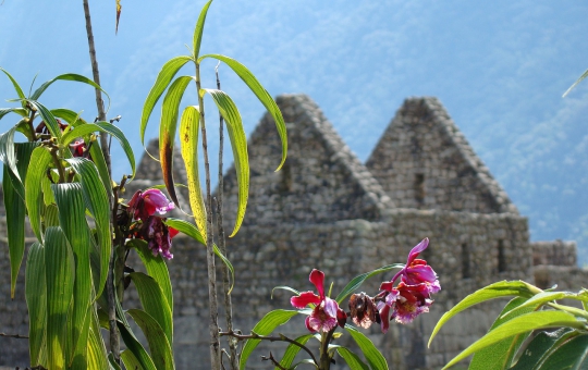 Cusco 5 Días