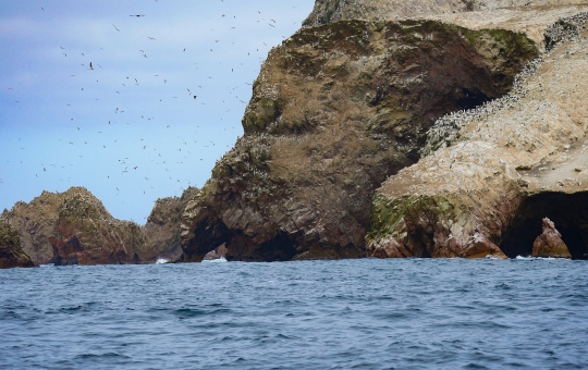 Peru: Costa y Sierra 8D