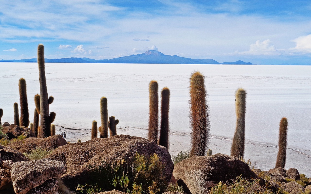 Tour al Salar de Uyuni 3D/2N