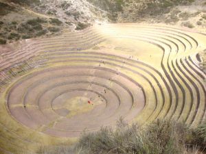 maras moray5